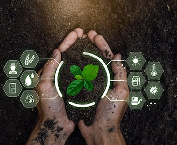 Digital-farming--3