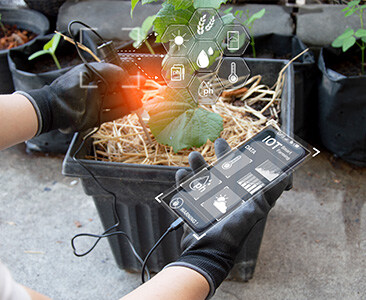 Driving-Smart-Farming-with-Advanced-AI,-IoT,-and-Data-Solutions-1