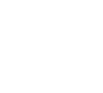 asset-10