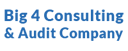 Big-4-Consulting-Audit-Company-logo