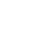 Expertise-Icon