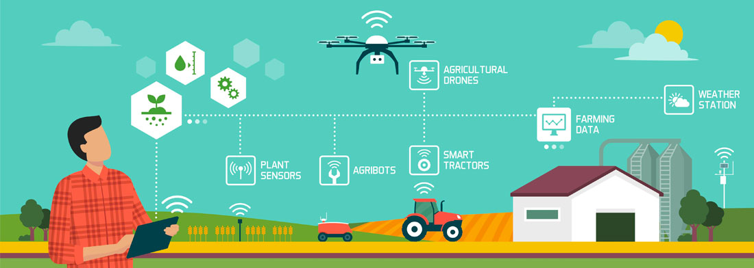 AI and analytics in smart farms