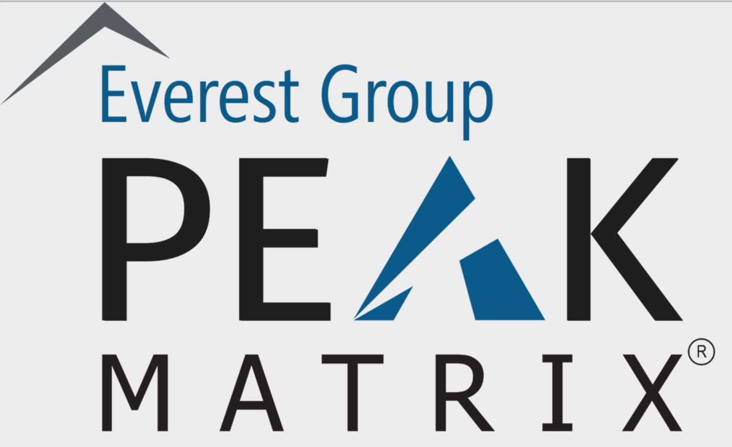 Everest Group