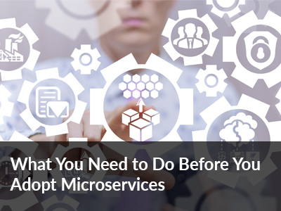 Microservices Adoption for Digital products